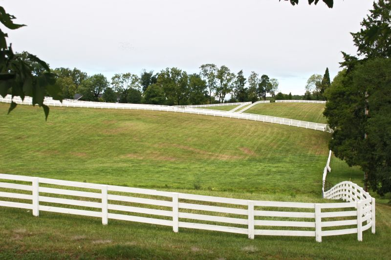 Cattle Fencing Contractors