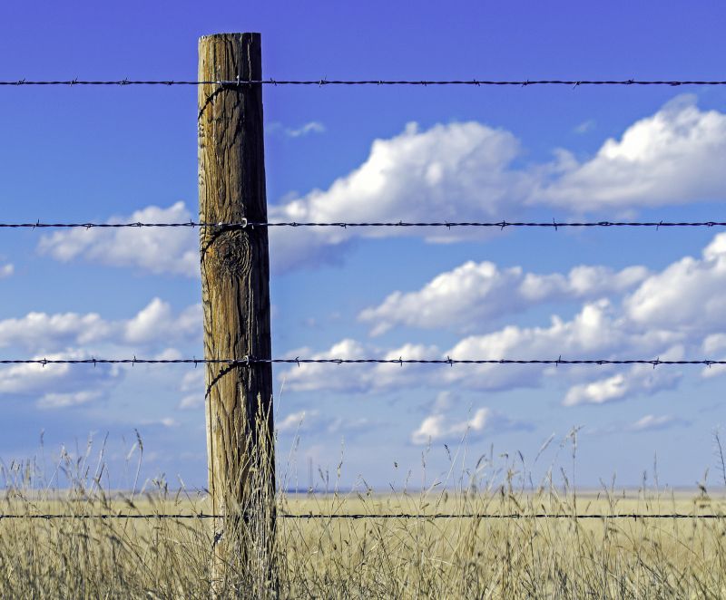 Cattle Fencing